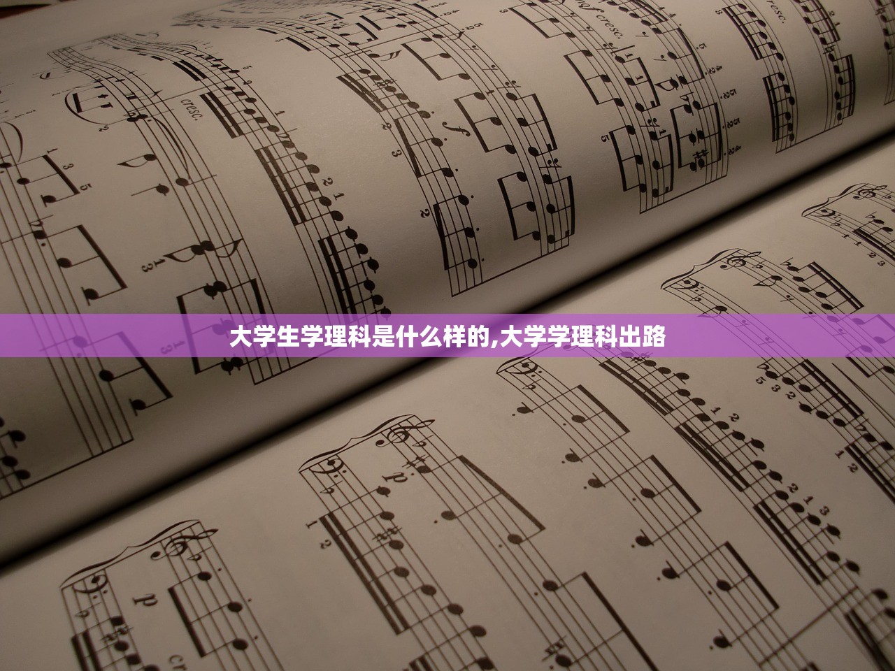 大学生学理科是什么样的,大学学理科出路