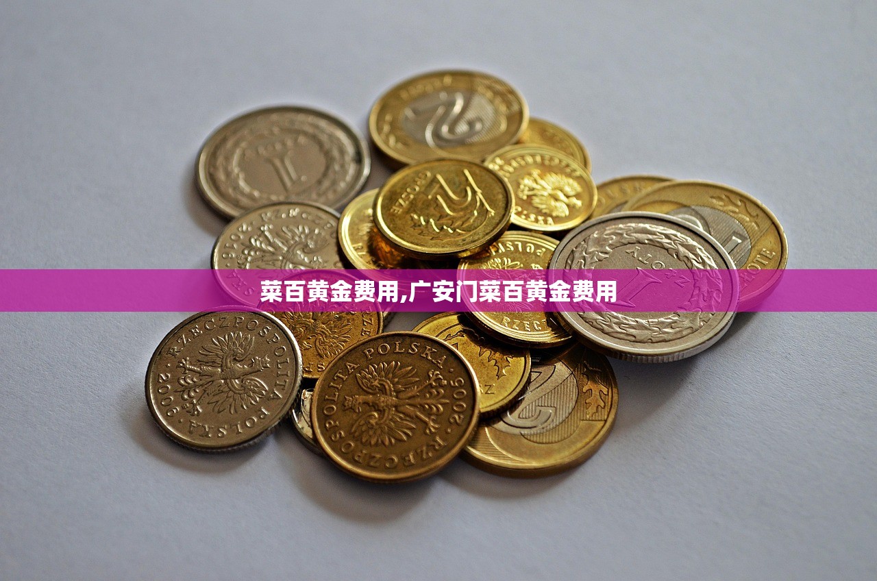 房租中介代理毛坯房.中介包装修出租毛坯房 房租中介代理毛坯房.中介包装修出租毛坯房