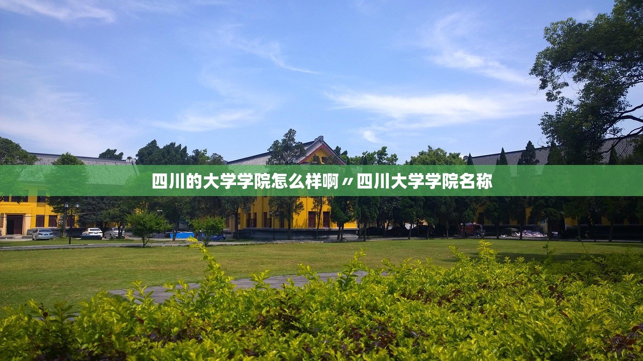 四川的大学学院怎么样啊〃四川大学学院名称