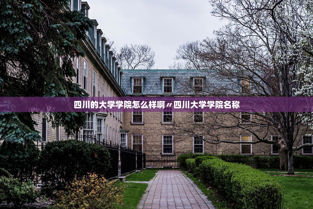 四川的大学学院怎么样啊〃四川大学学院名称