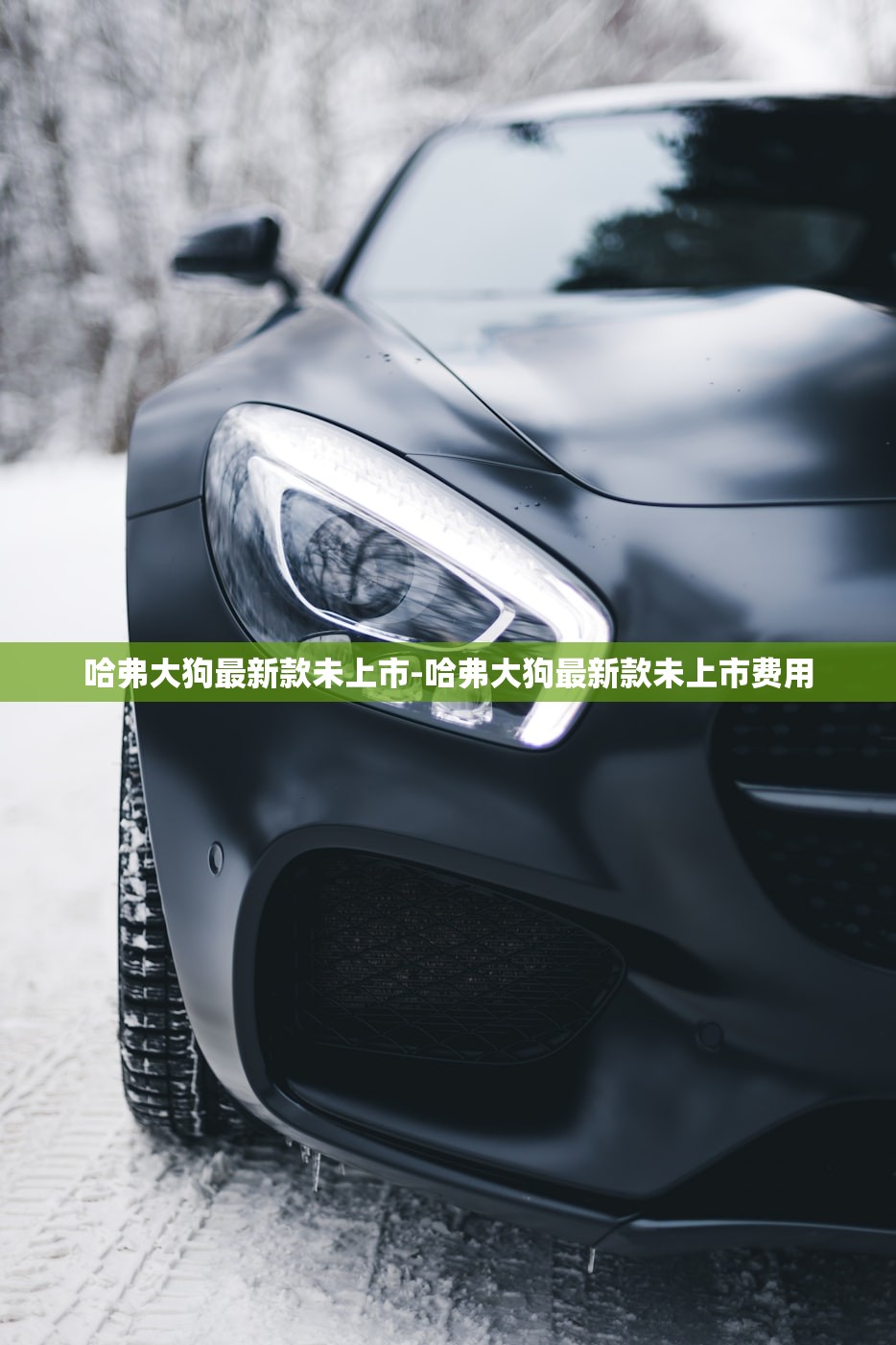 哈弗大狗最新款未上市-哈弗大狗最新款未上市费用