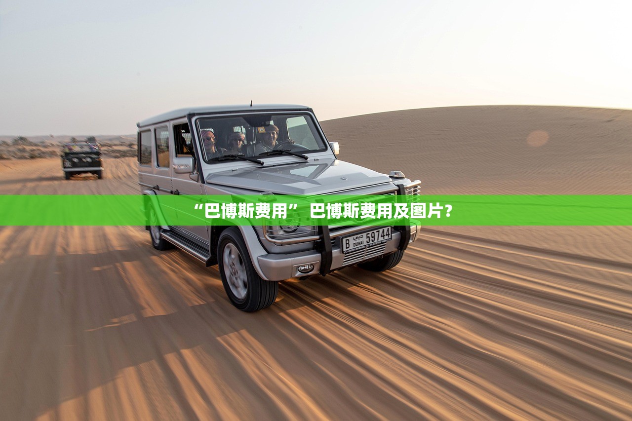 “巴博斯费用” 巴博斯费用及图片？