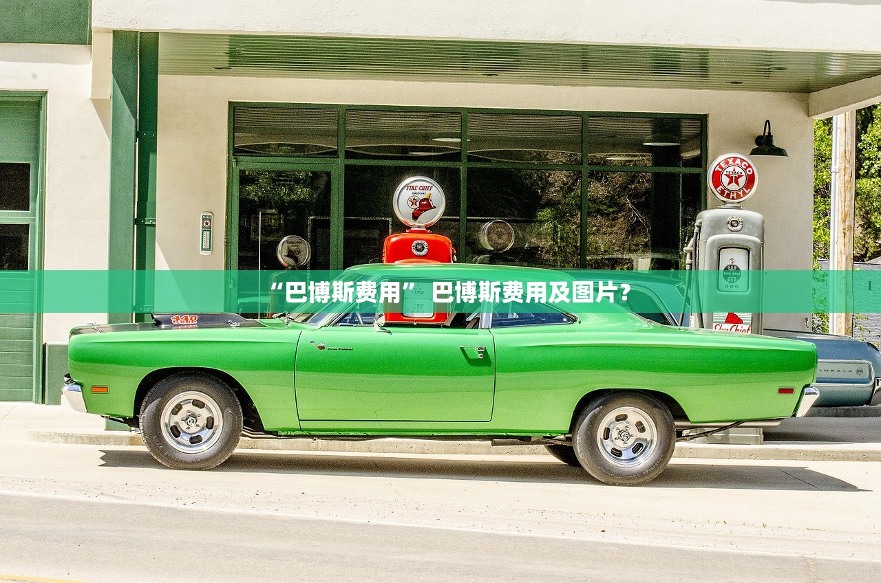 “巴博斯费用” 巴博斯费用及图片？
