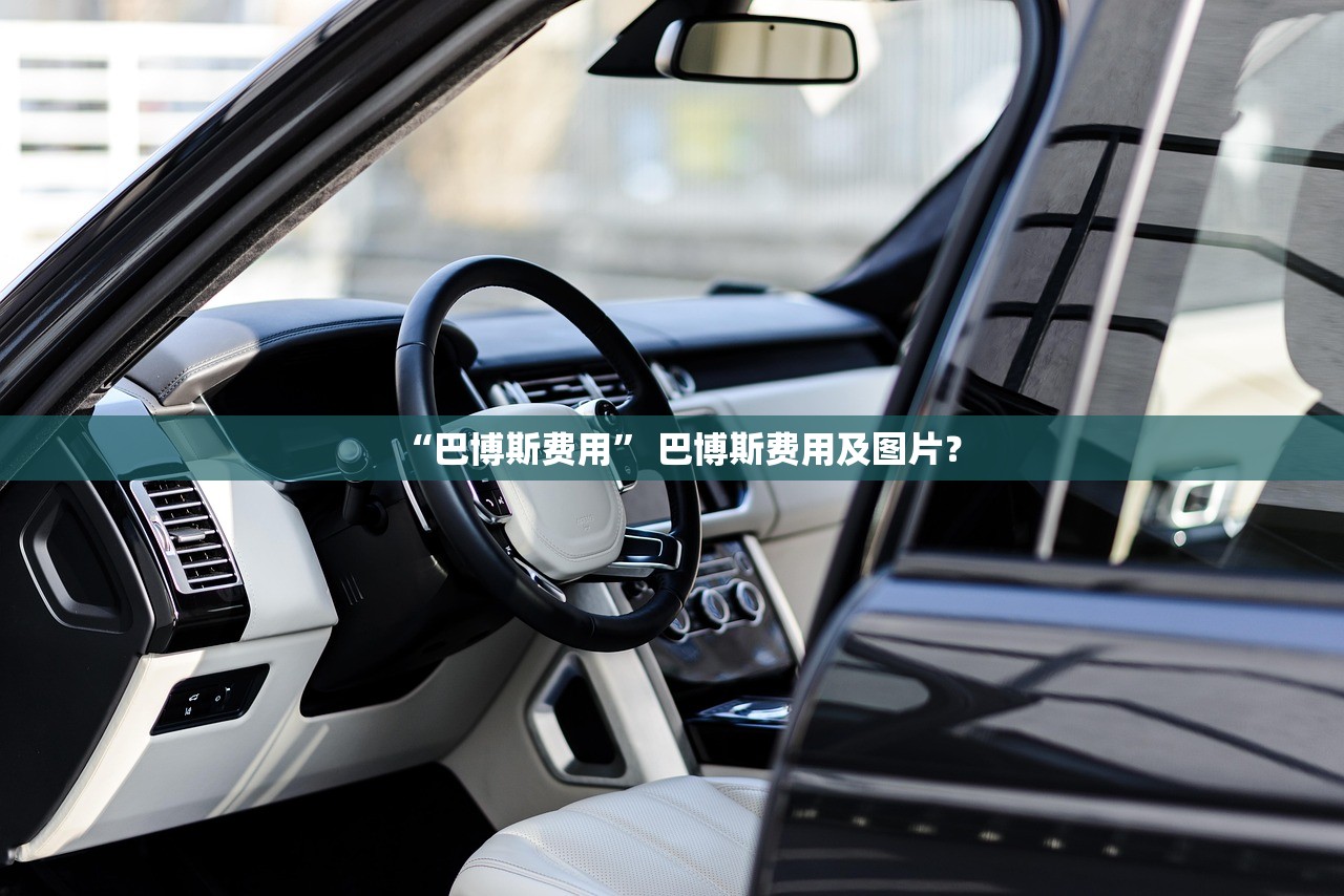 “巴博斯费用” 巴博斯费用及图片？