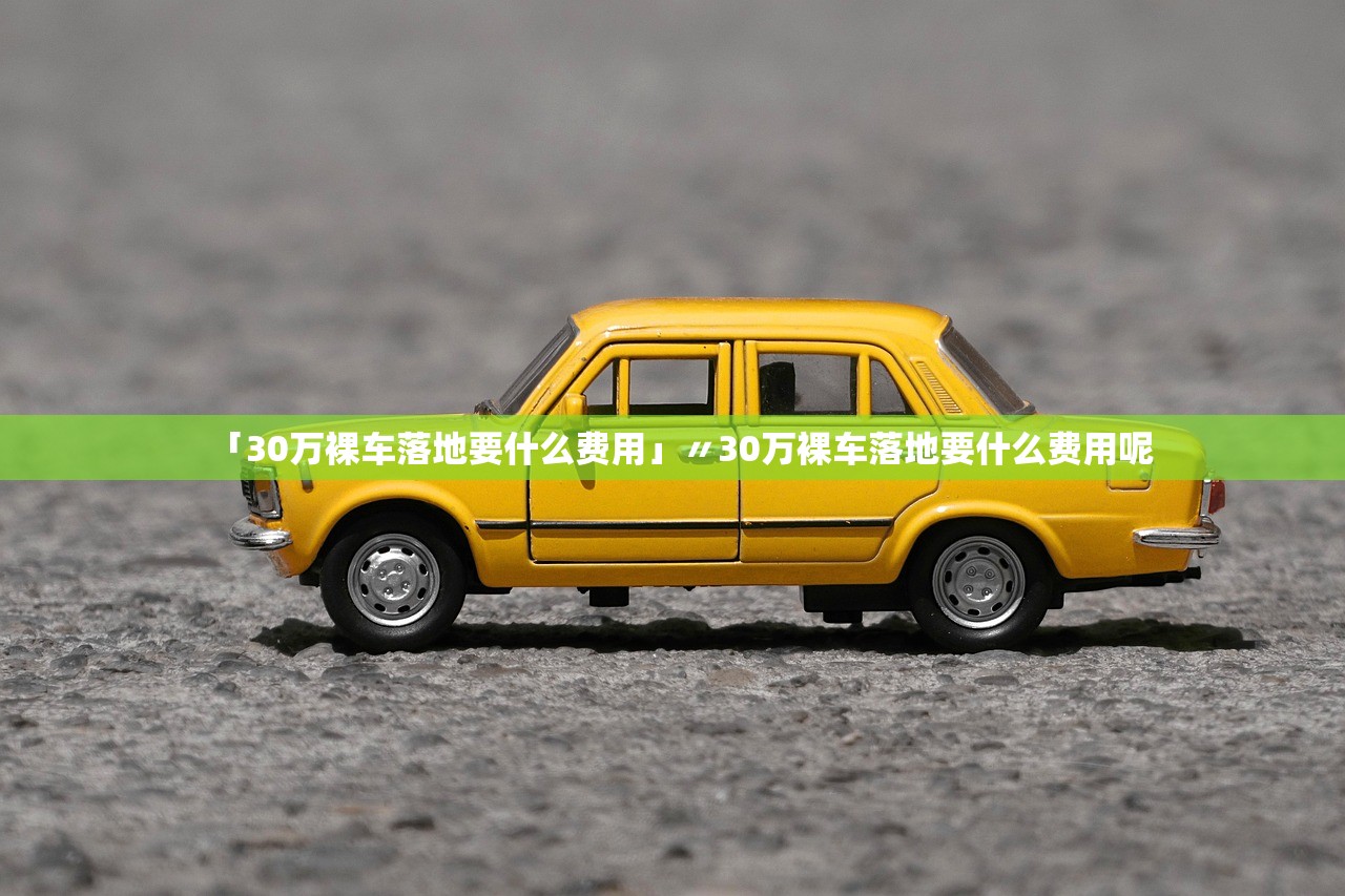 「30万裸车落地要什么费用」〃30万裸车落地要什么费用呢
