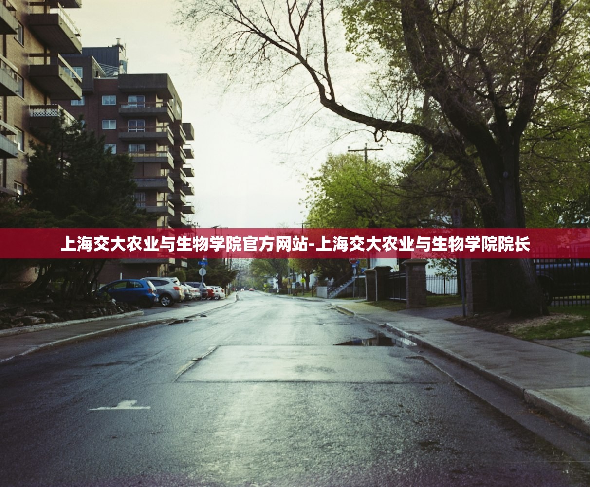 上海交大农业与生物学院官方网站-上海交大农业与生物学院院长 上海交大农业与生物学院官方网站-上海交大农业与生物学院院长