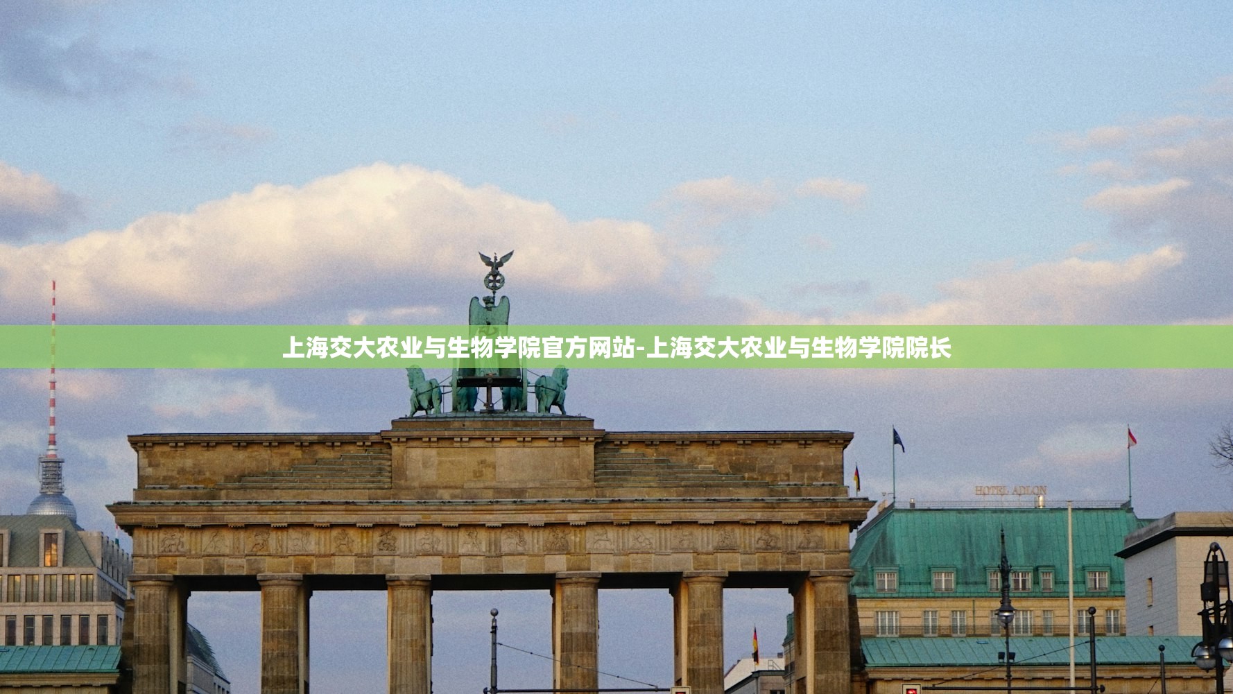 「百分表的读数方法」〃内径百分表的读数方法
