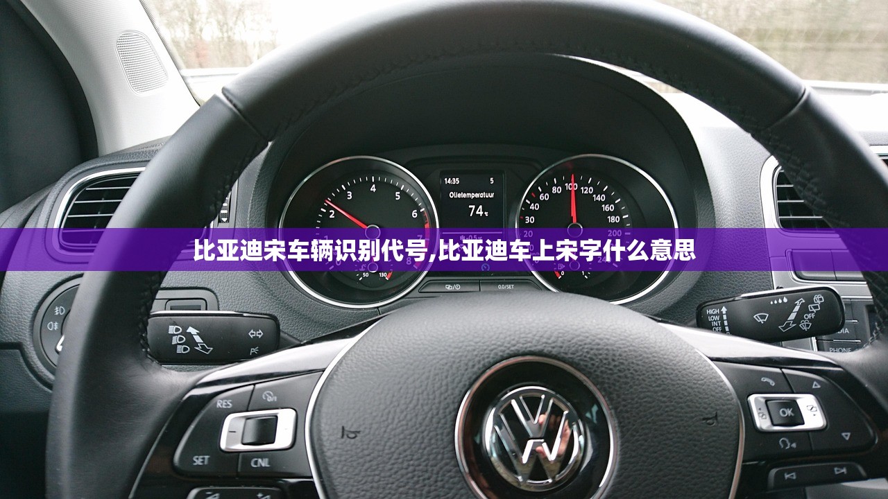 比亚迪宋车辆识别代号,比亚迪车上宋字什么意思