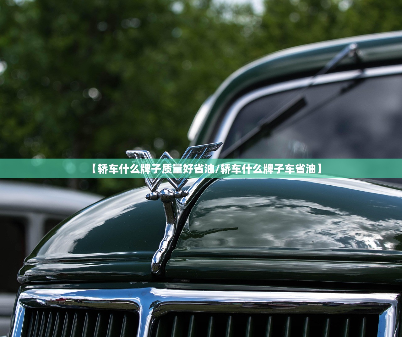 【轿车什么牌子质量好省油/轿车什么牌子车省油】