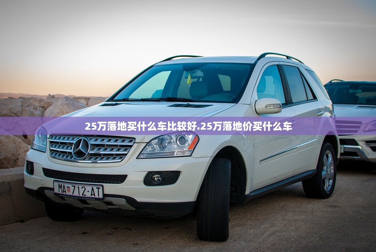 25万落地买什么车比较好.25万落地价买什么车