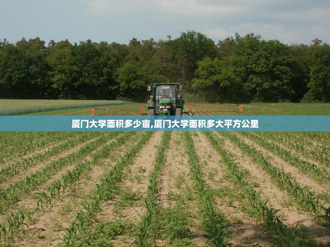 厦门大学面积多少亩,厦门大学面积多大平方公里 厦门大学面积多少亩,厦门大学面积多大平方公里