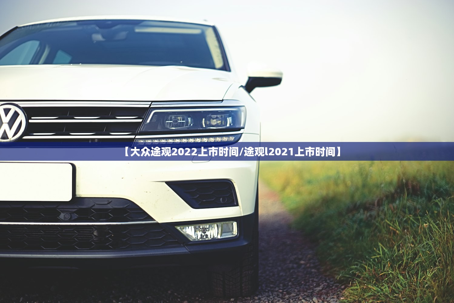 《造梦西游3》虎丸怎么得︰(造梦西游3虎丸极品怎么抓) 《造梦西游3》虎丸怎么得︰(造梦西游3虎丸极品怎么抓)