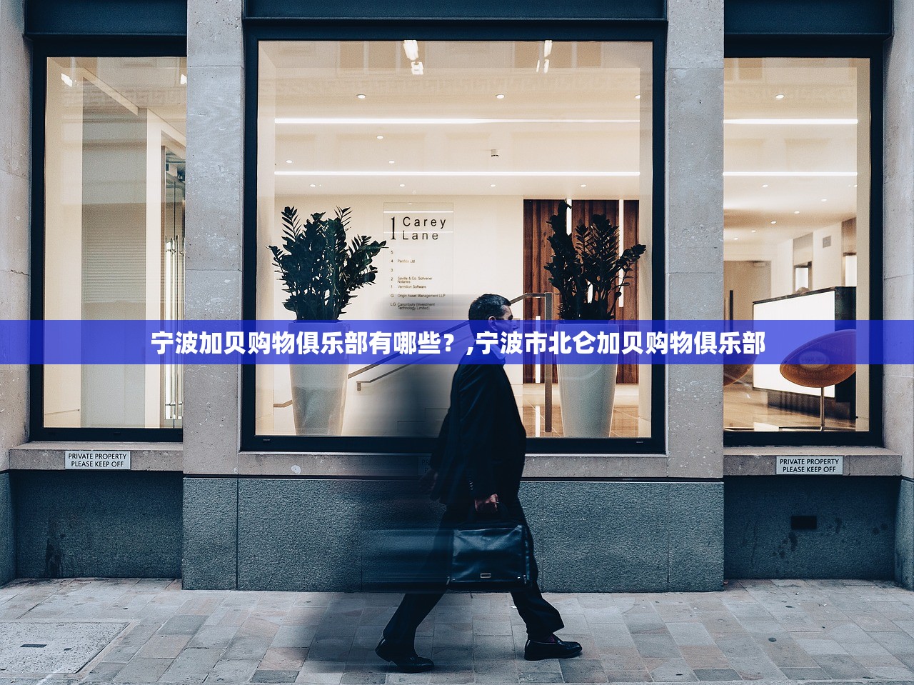 《造梦西游3》虎丸怎么得︰(造梦西游3虎丸极品怎么抓)