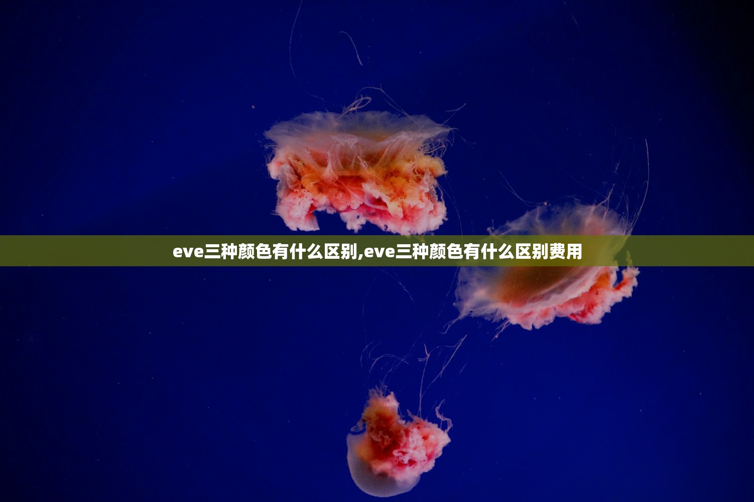 eve三种颜色有什么区别,eve三种颜色有什么区别费用