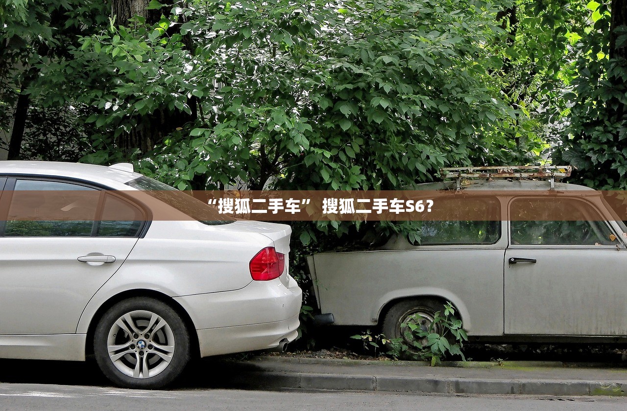 “搜狐二手车” 搜狐二手车S6？