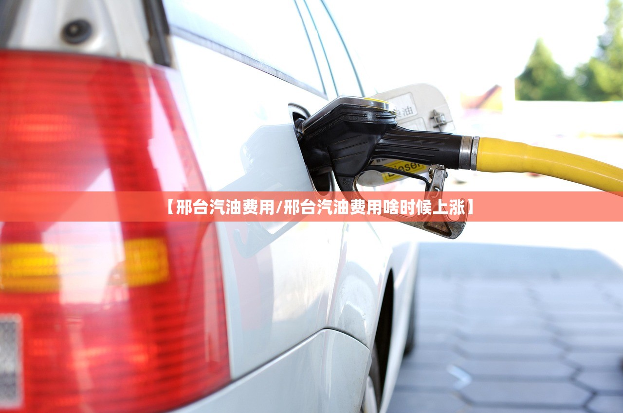 【邢台汽油费用/邢台汽油费用啥时候上涨】