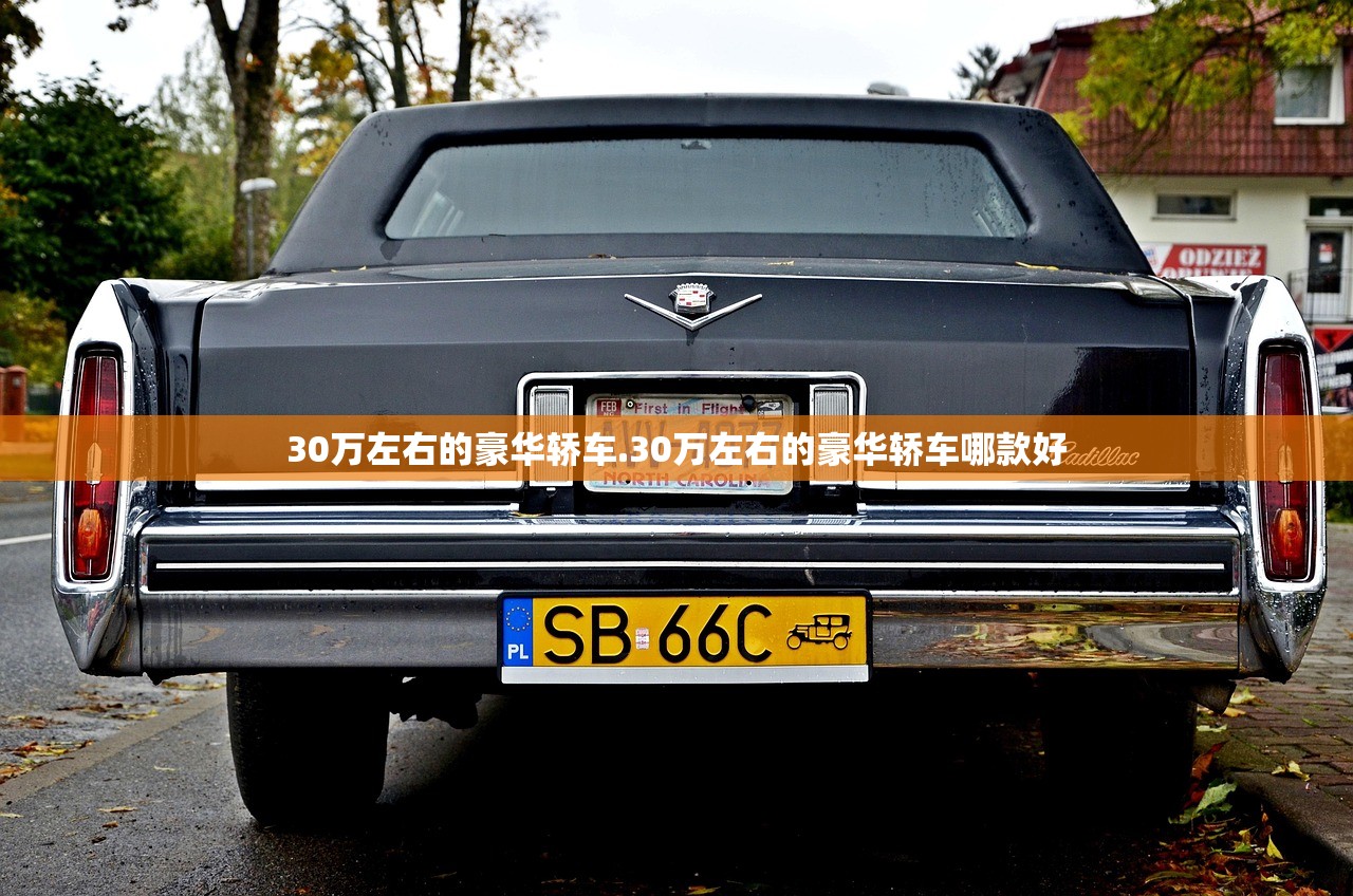 30万左右的豪华轿车.30万左右的豪华轿车哪款好