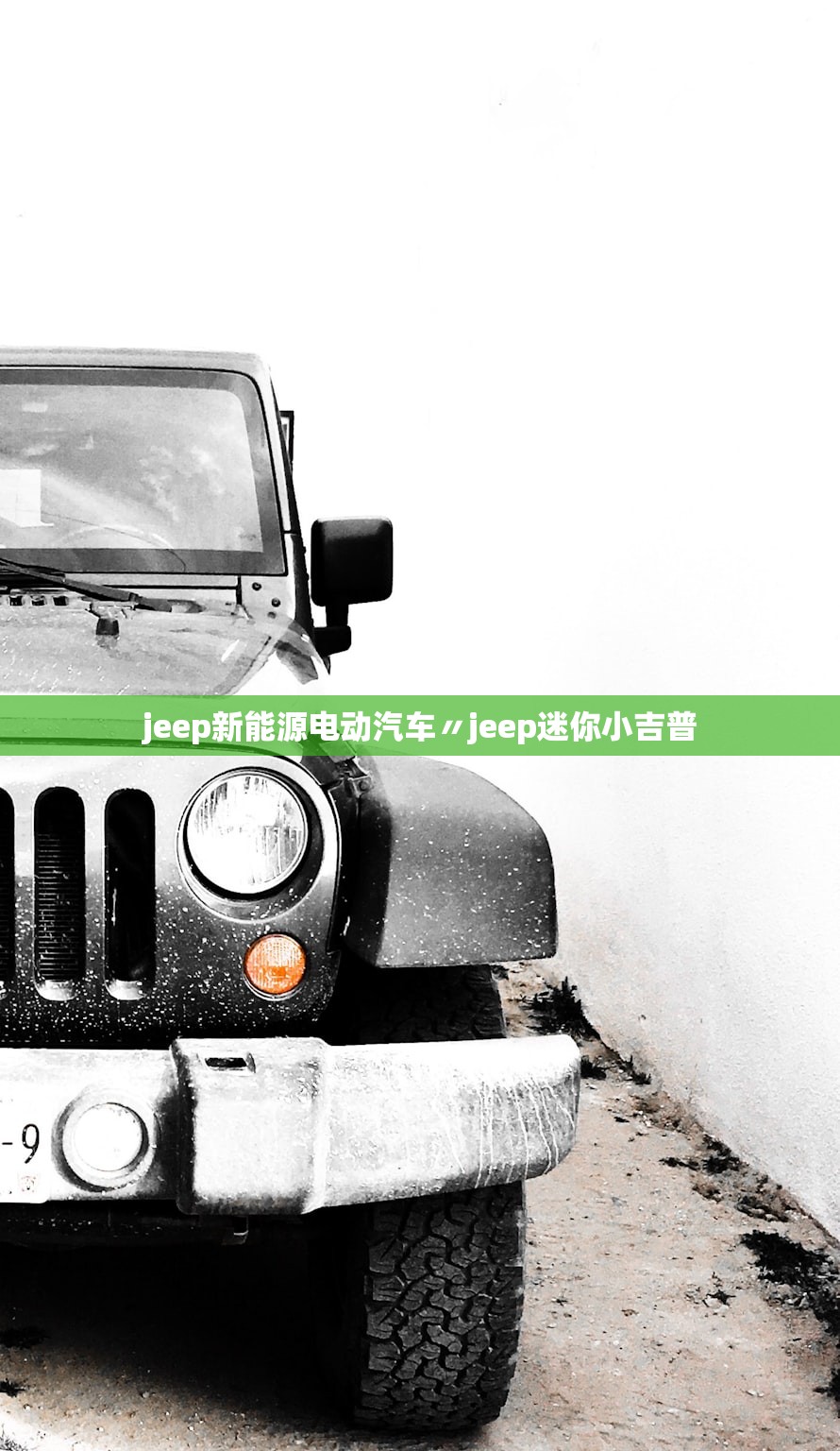 jeep新能源电动汽车〃jeep迷你小吉普