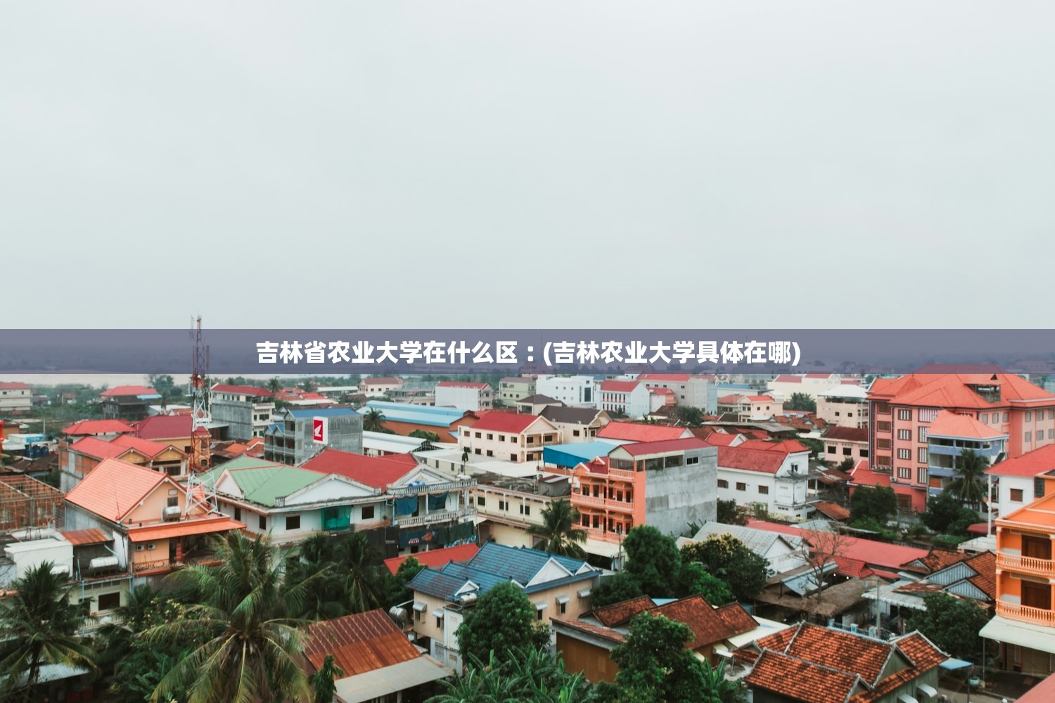 吉林省农业大学在什么区︰(吉林农业大学具体在哪)