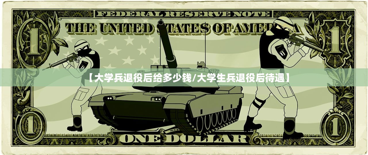【大学兵退役后给多少钱/大学生兵退役后待遇】