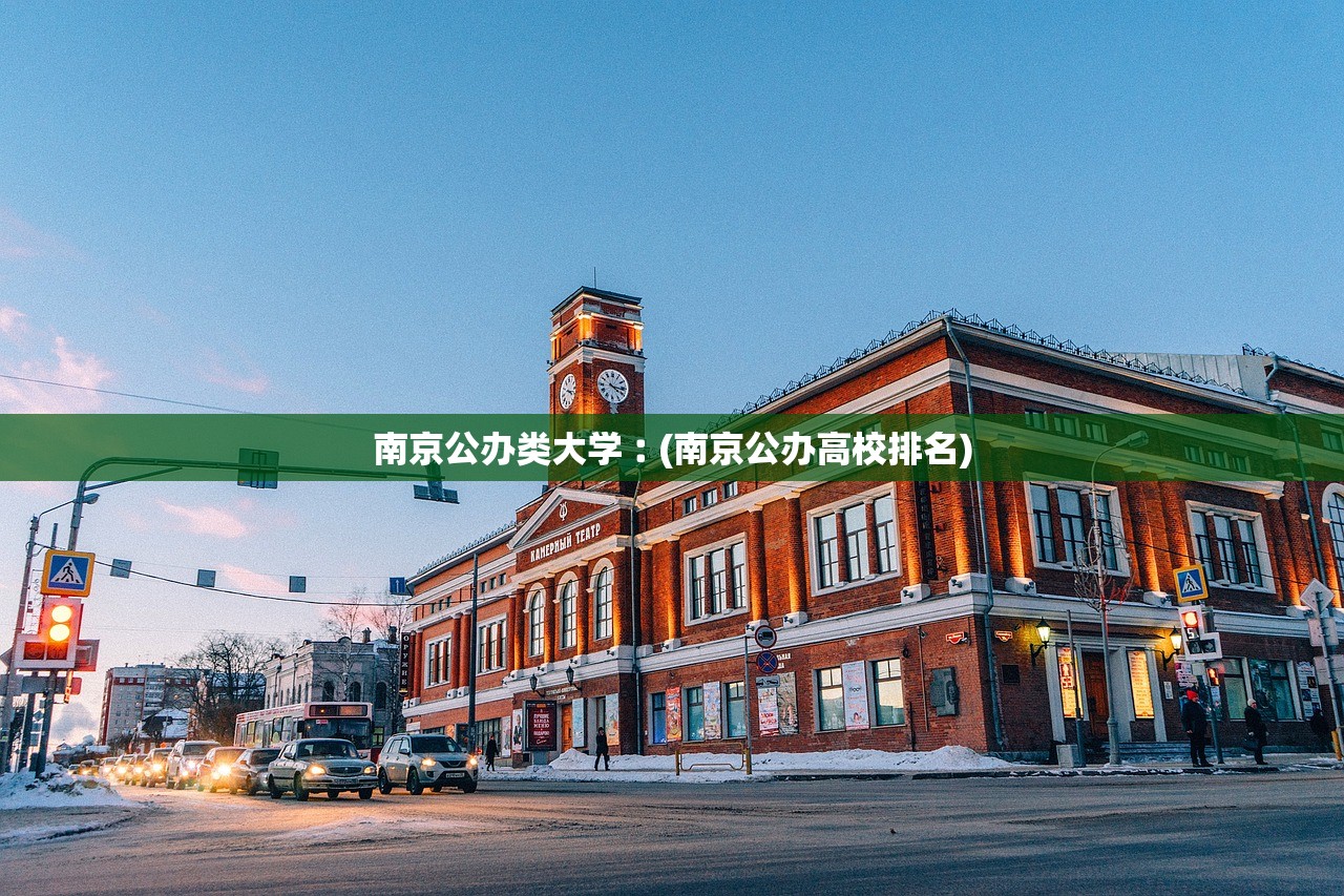 南京公办类大学︰(南京公办高校排名)