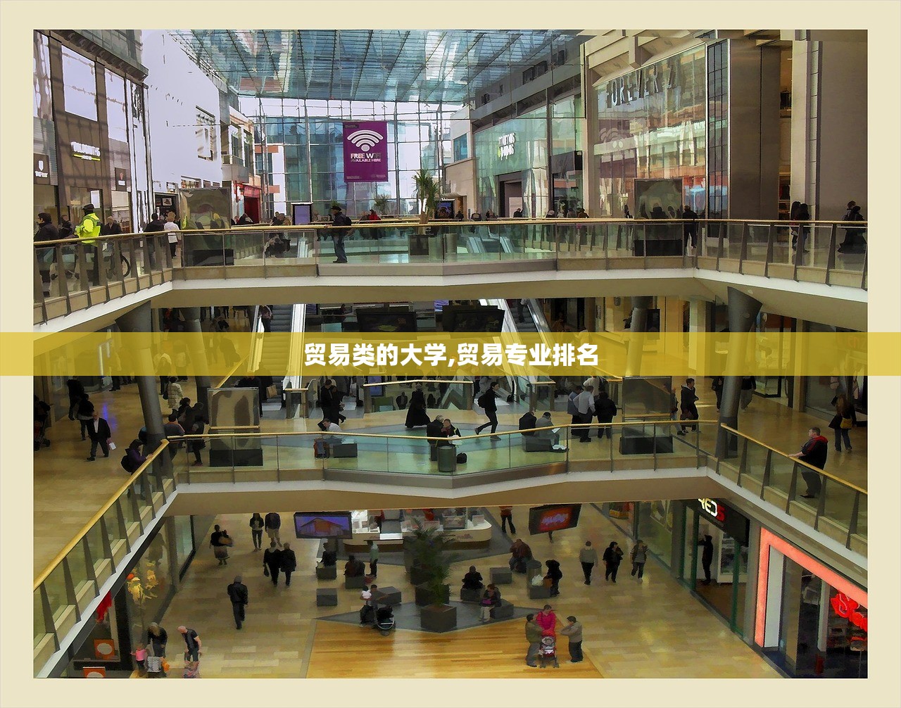 贸易类的大学,贸易专业排名