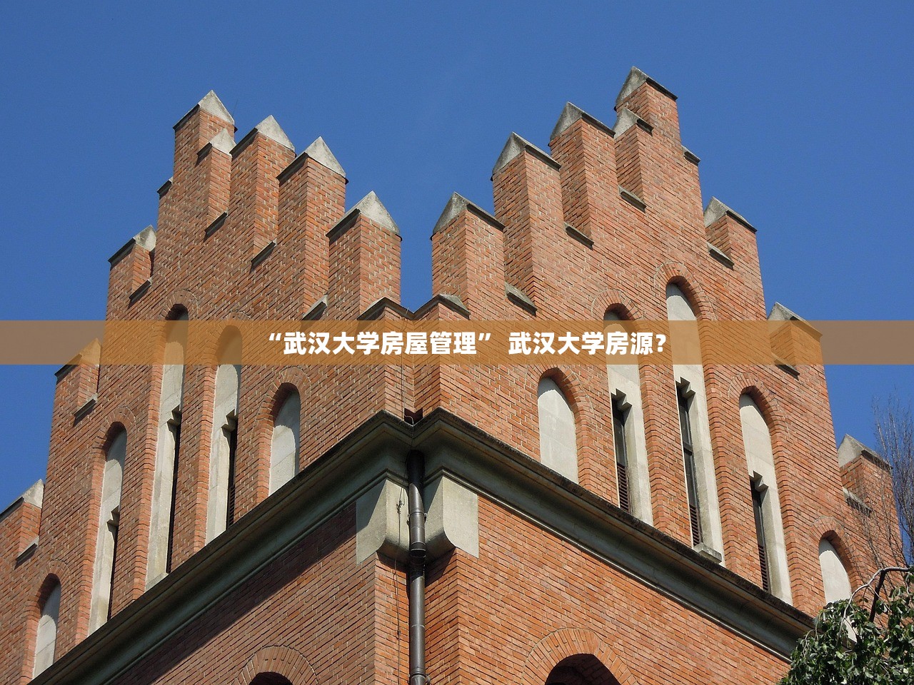 “武汉大学房屋管理” 武汉大学房源？