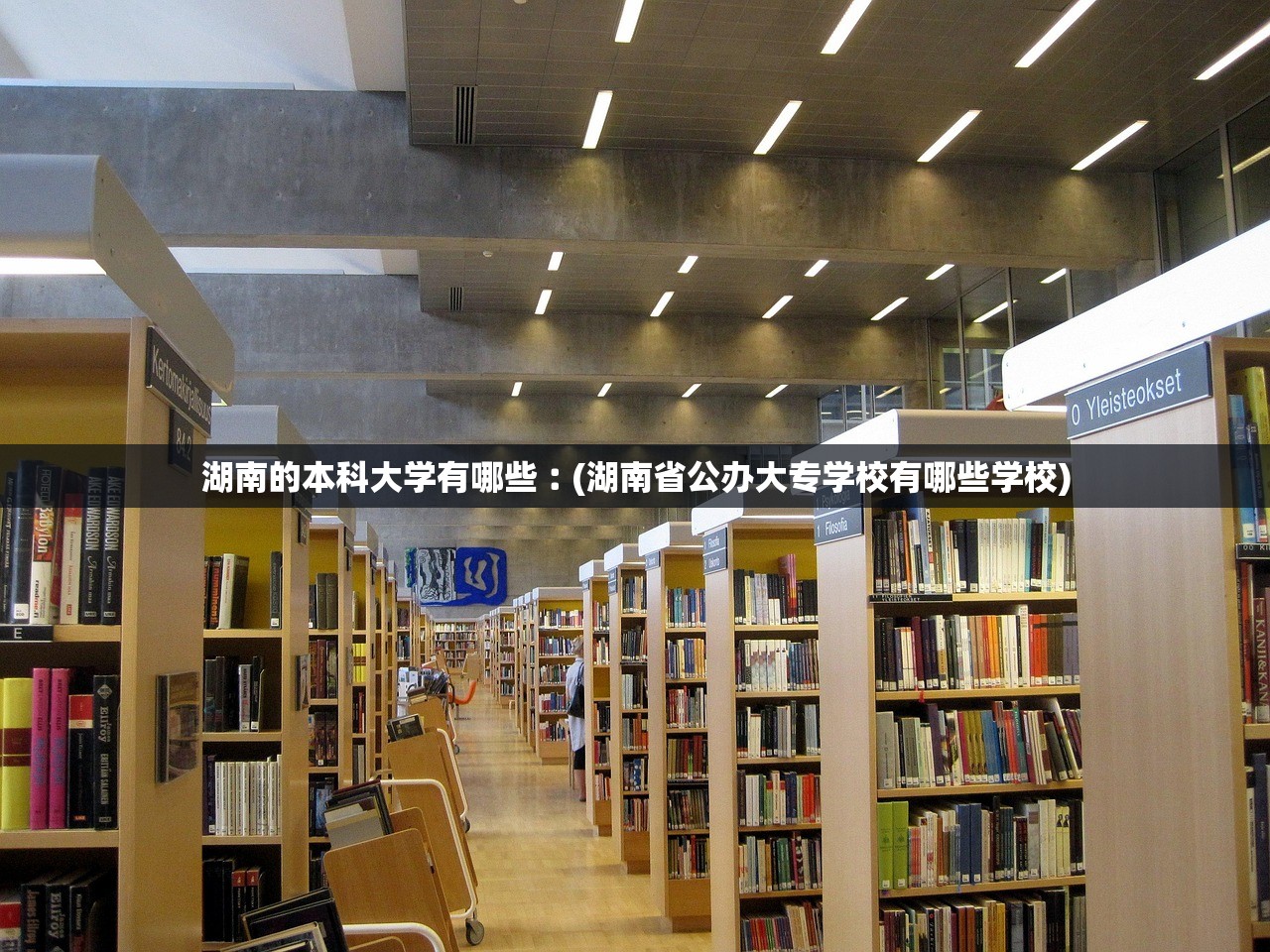 湖南的本科大学有哪些︰(湖南省公办大专学校有哪些学校)