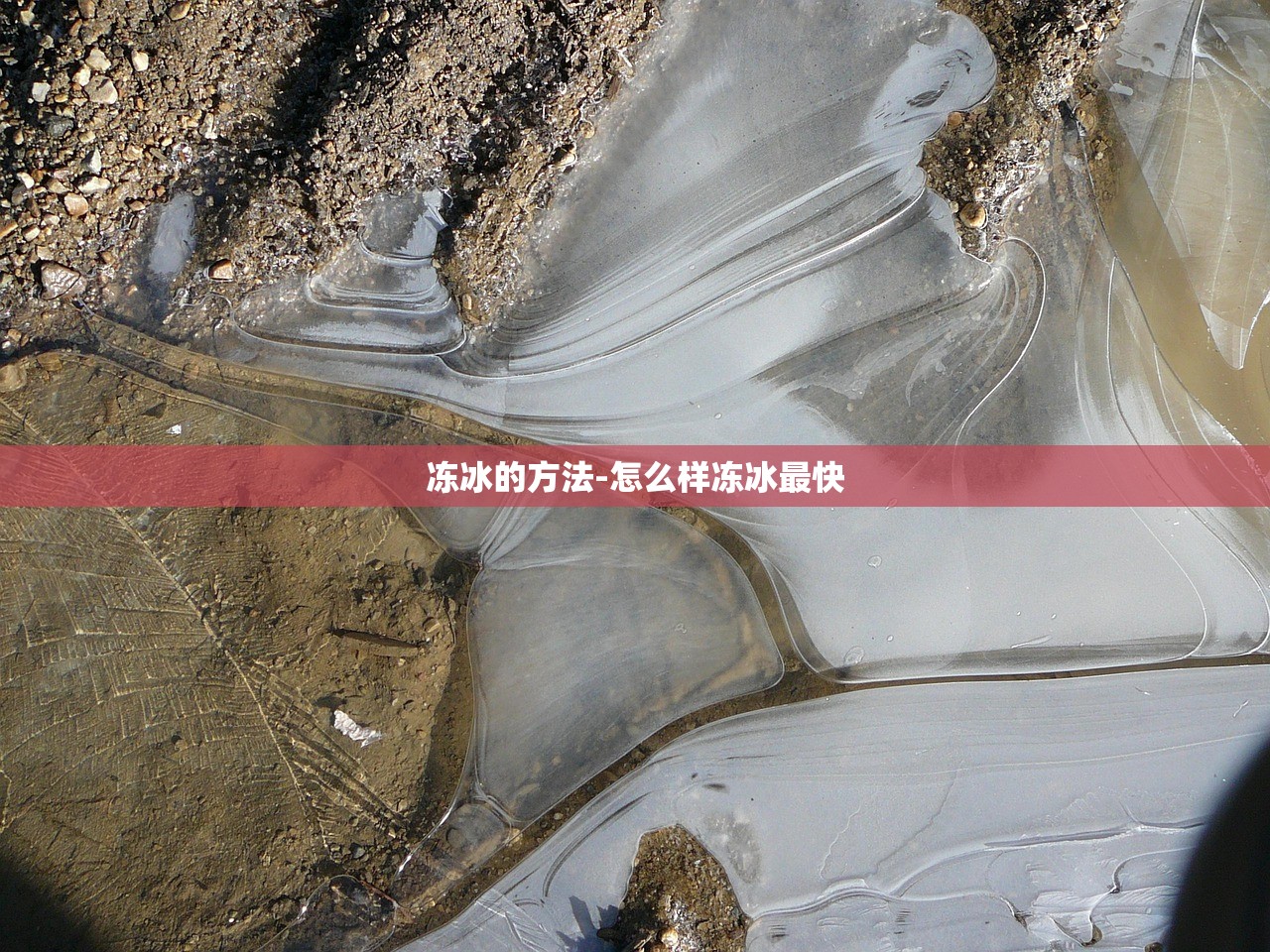 冻冰的方法-怎么样冻冰最快