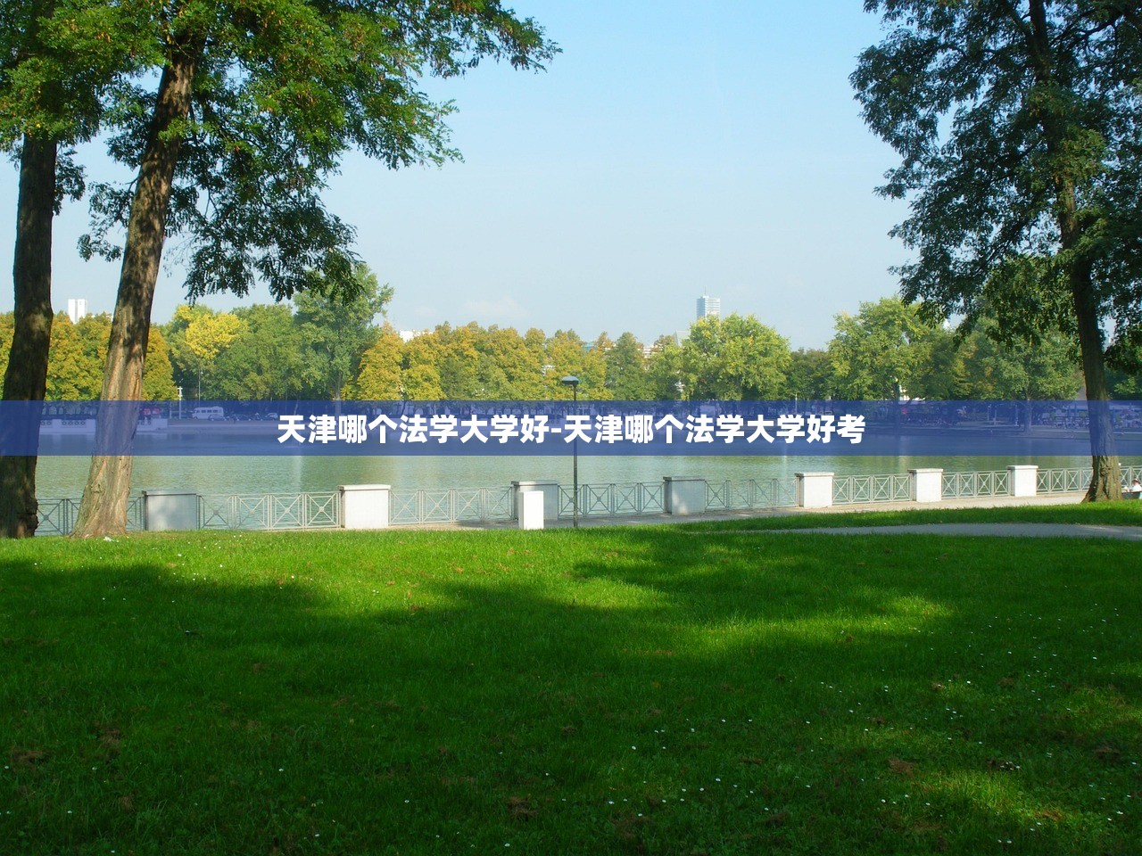 比亚迪和特斯拉知乎〃比亚迪和特斯拉对比分析