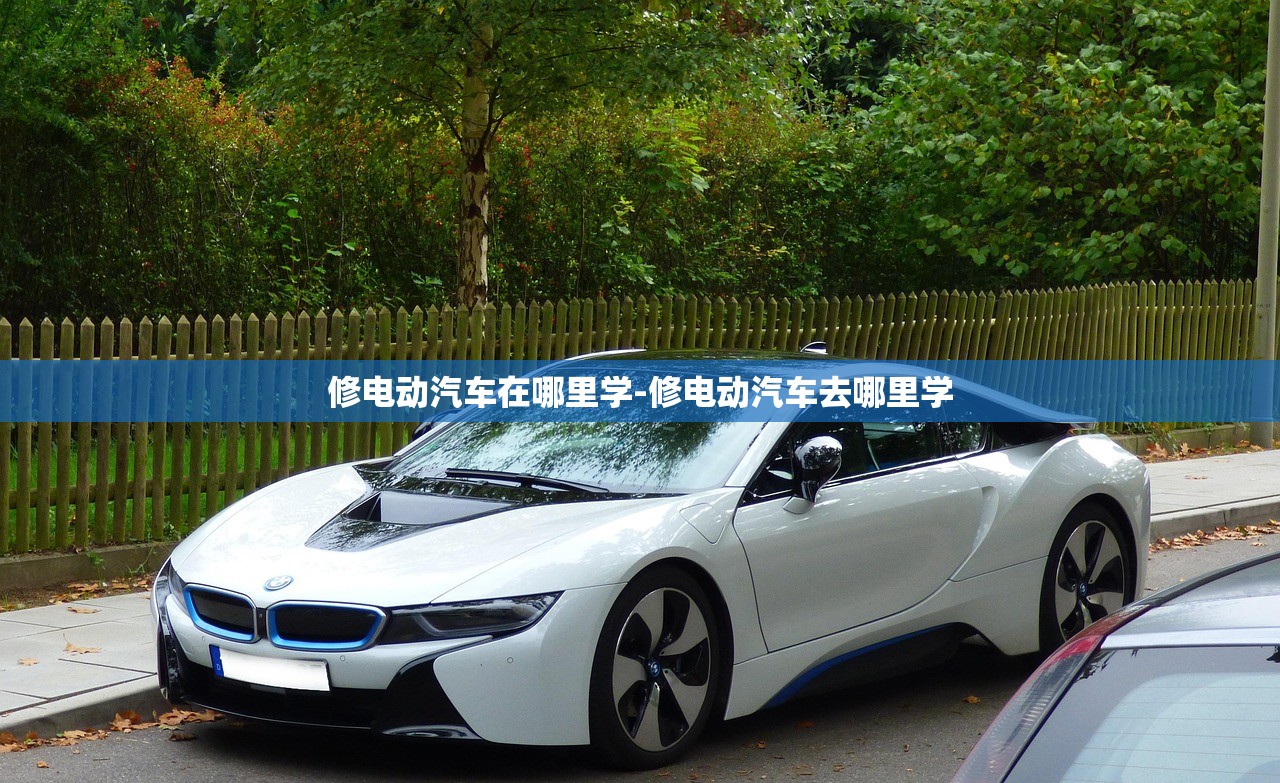 修电动汽车在哪里学-修电动汽车去哪里学