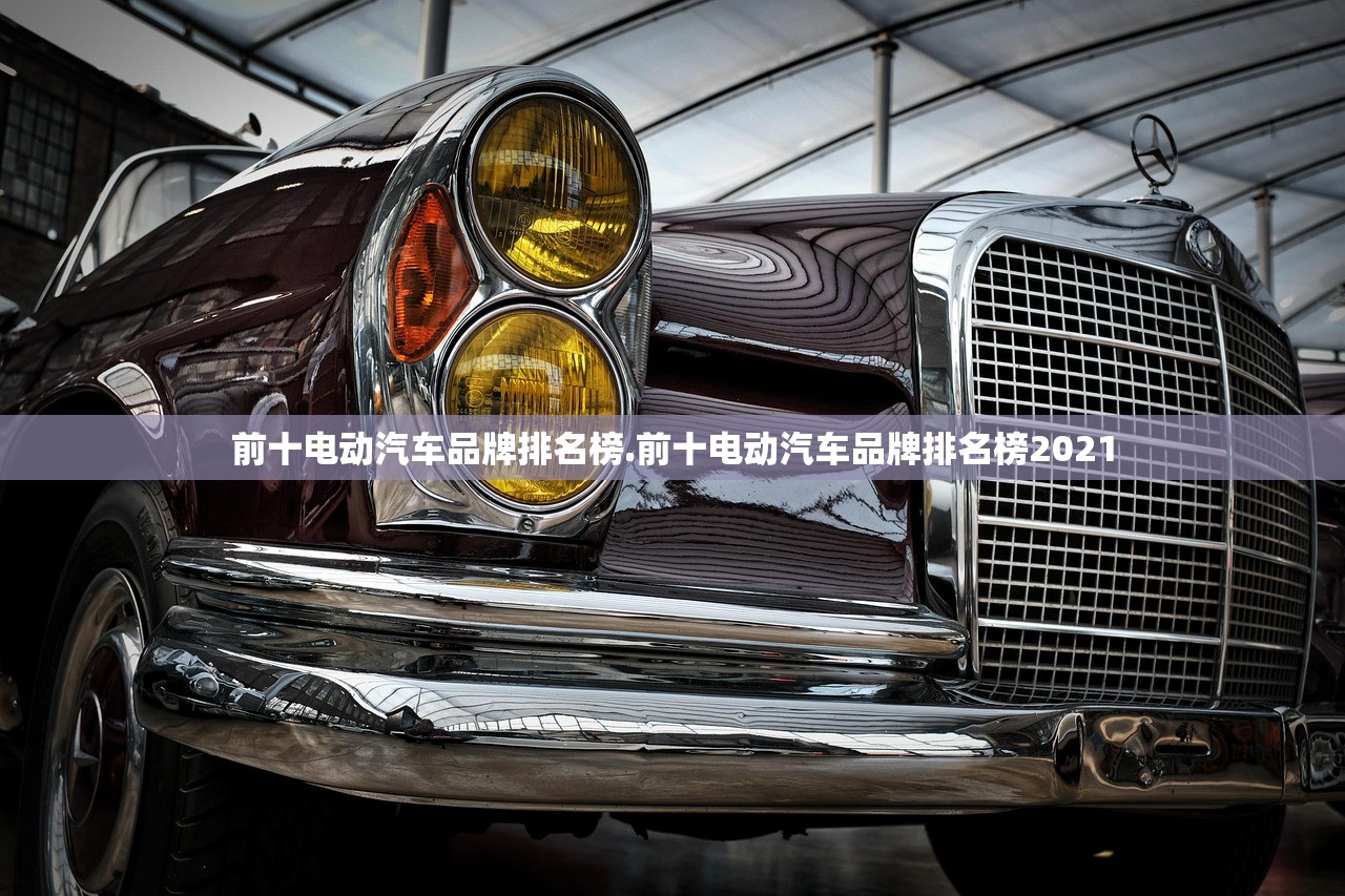 前十电动汽车品牌排名榜.前十电动汽车品牌排名榜2021