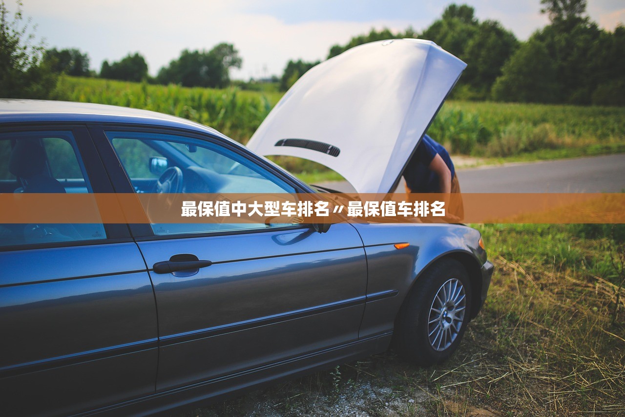 最保值中大型车排名〃最保值车排名