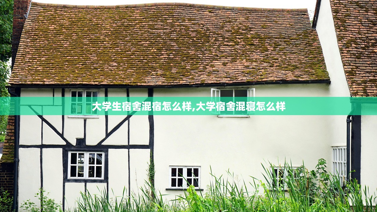 大学生宿舍混宿怎么样,大学宿舍混寝怎么样