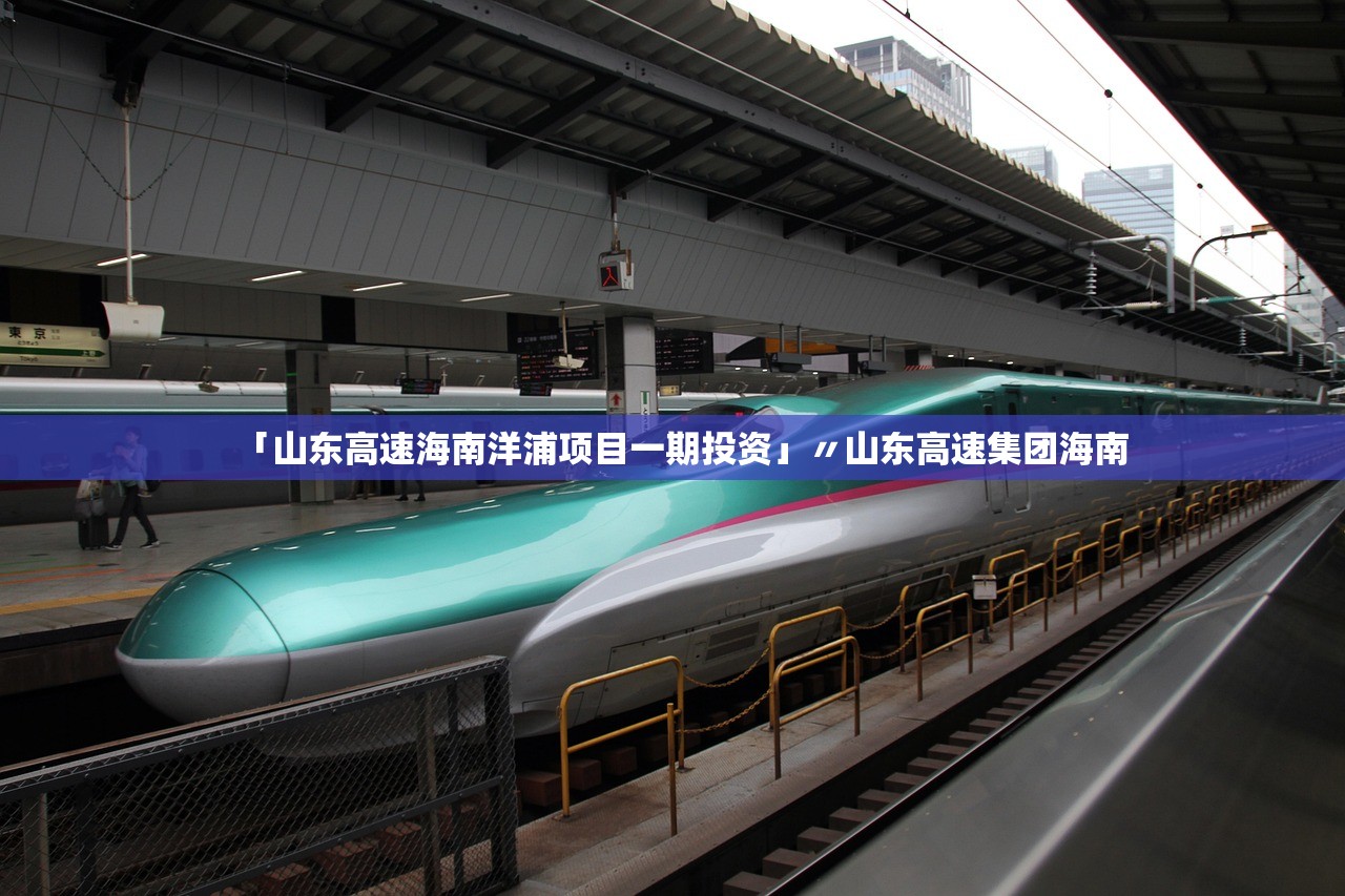 「山东高速海南洋浦项目一期投资」〃山东高速集团海南