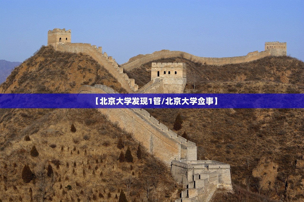 【北京大学发现1管/北京大学佥事】 【北京大学发现1管/北京大学佥事】