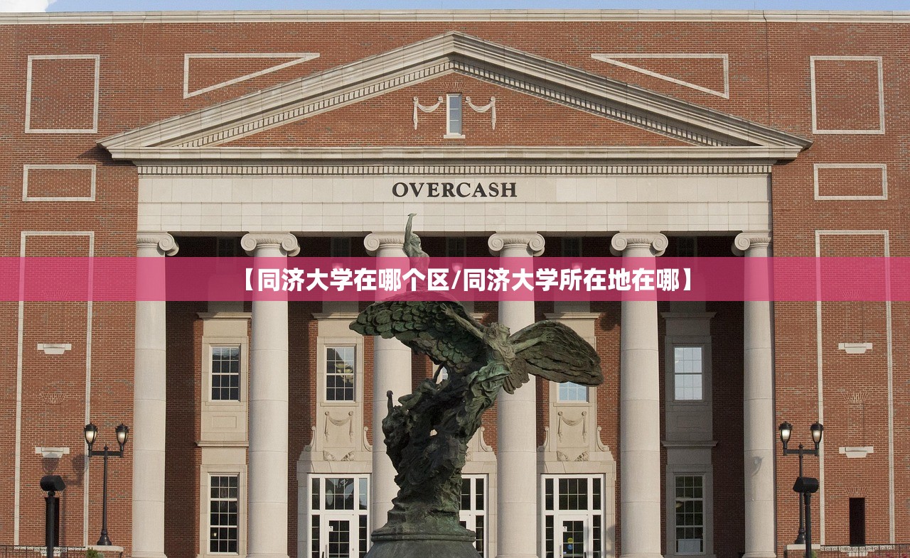 【同济大学在哪个区/同济大学所在地在哪】