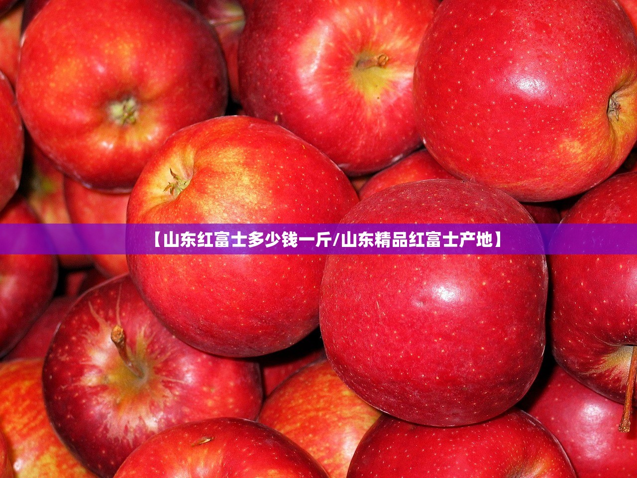 【山东红富士多少钱一斤/山东精品红富士产地】