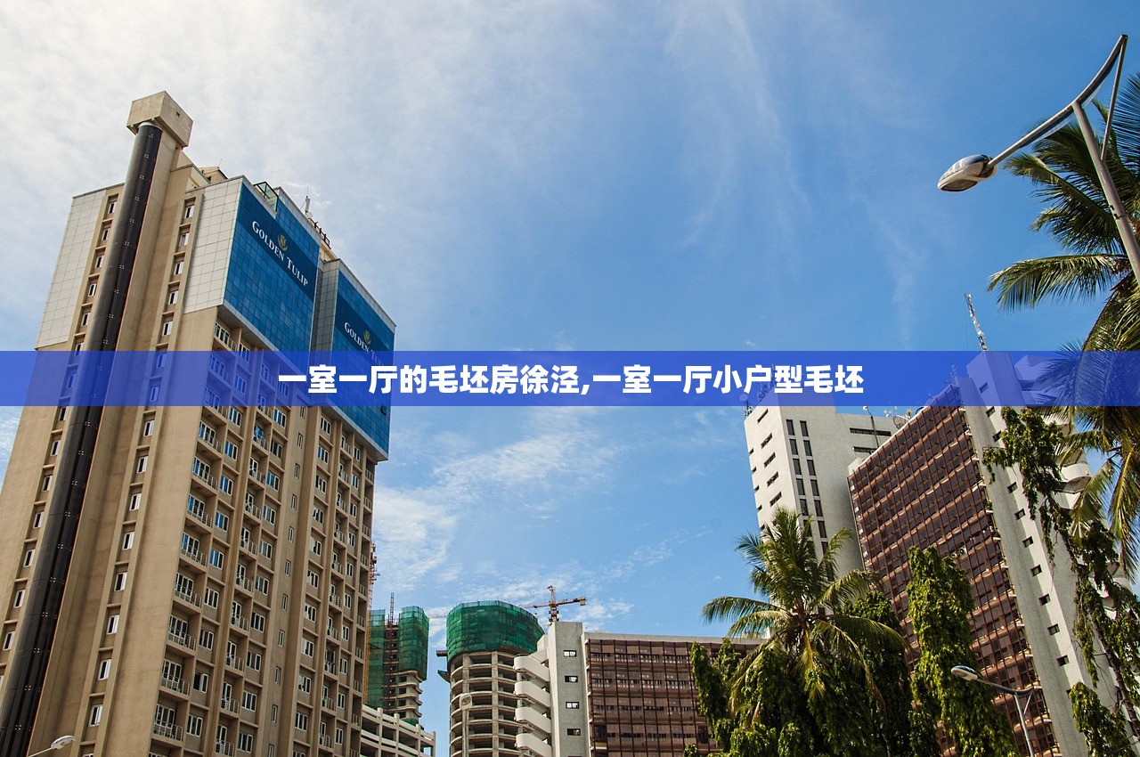 一室一厅的毛坯房徐泾,一室一厅小户型毛坯