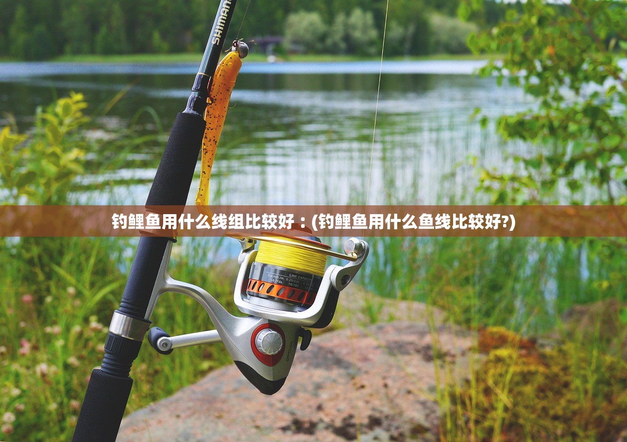 钓鲤鱼用什么线组比较好︰(钓鲤鱼用什么鱼线比较好?)