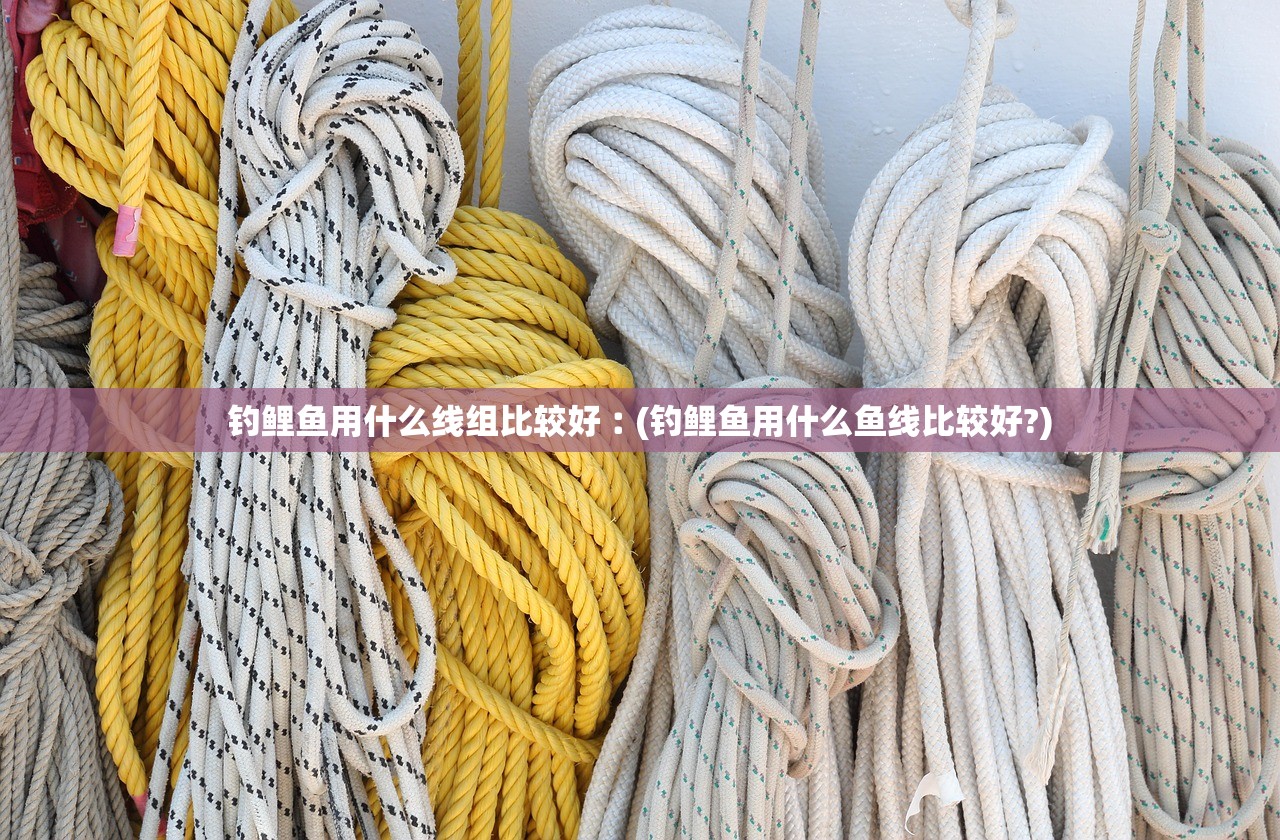 钓鲤鱼用什么线组比较好︰(钓鲤鱼用什么鱼线比较好?)