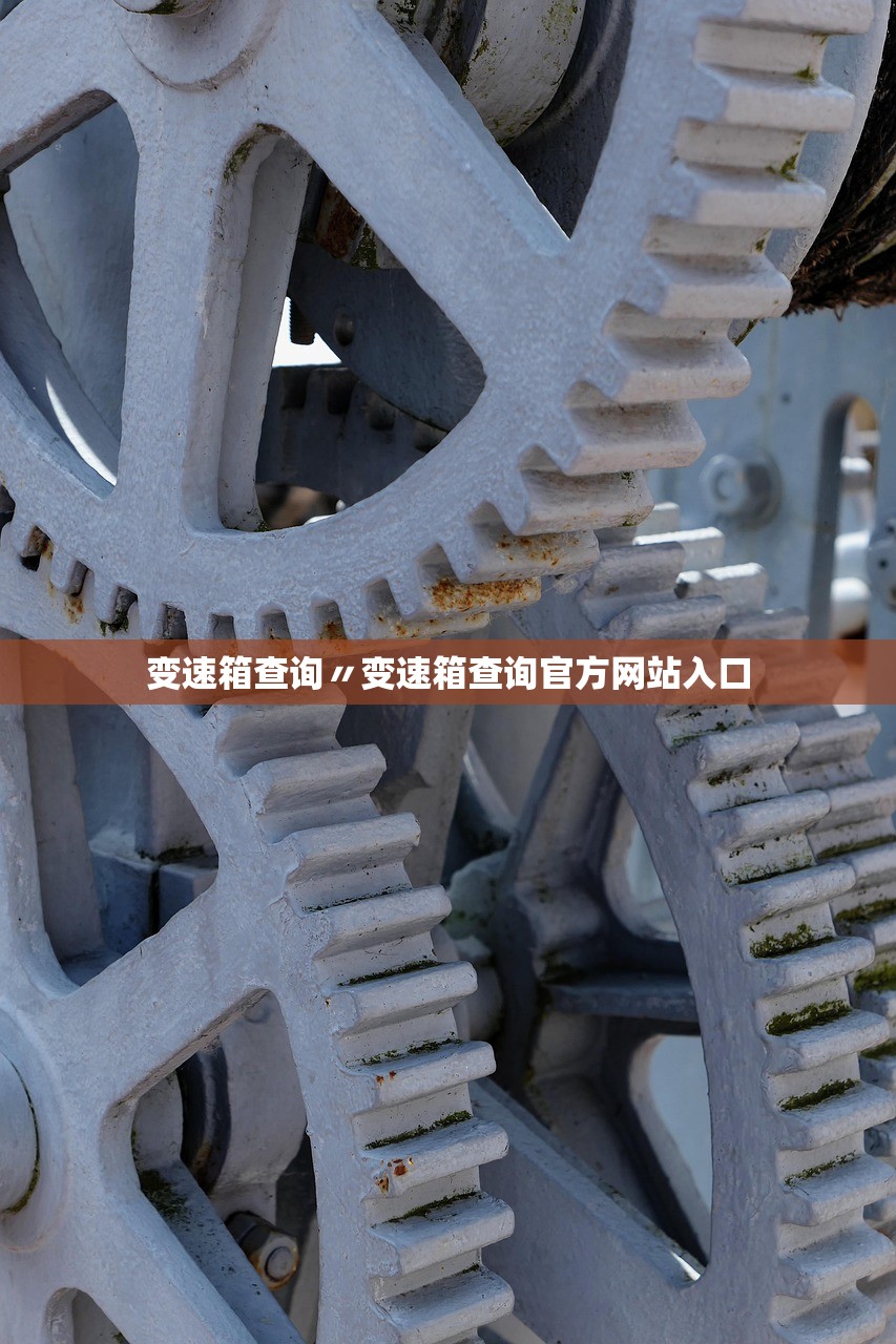 变速箱查询〃变速箱查询官方网站入口