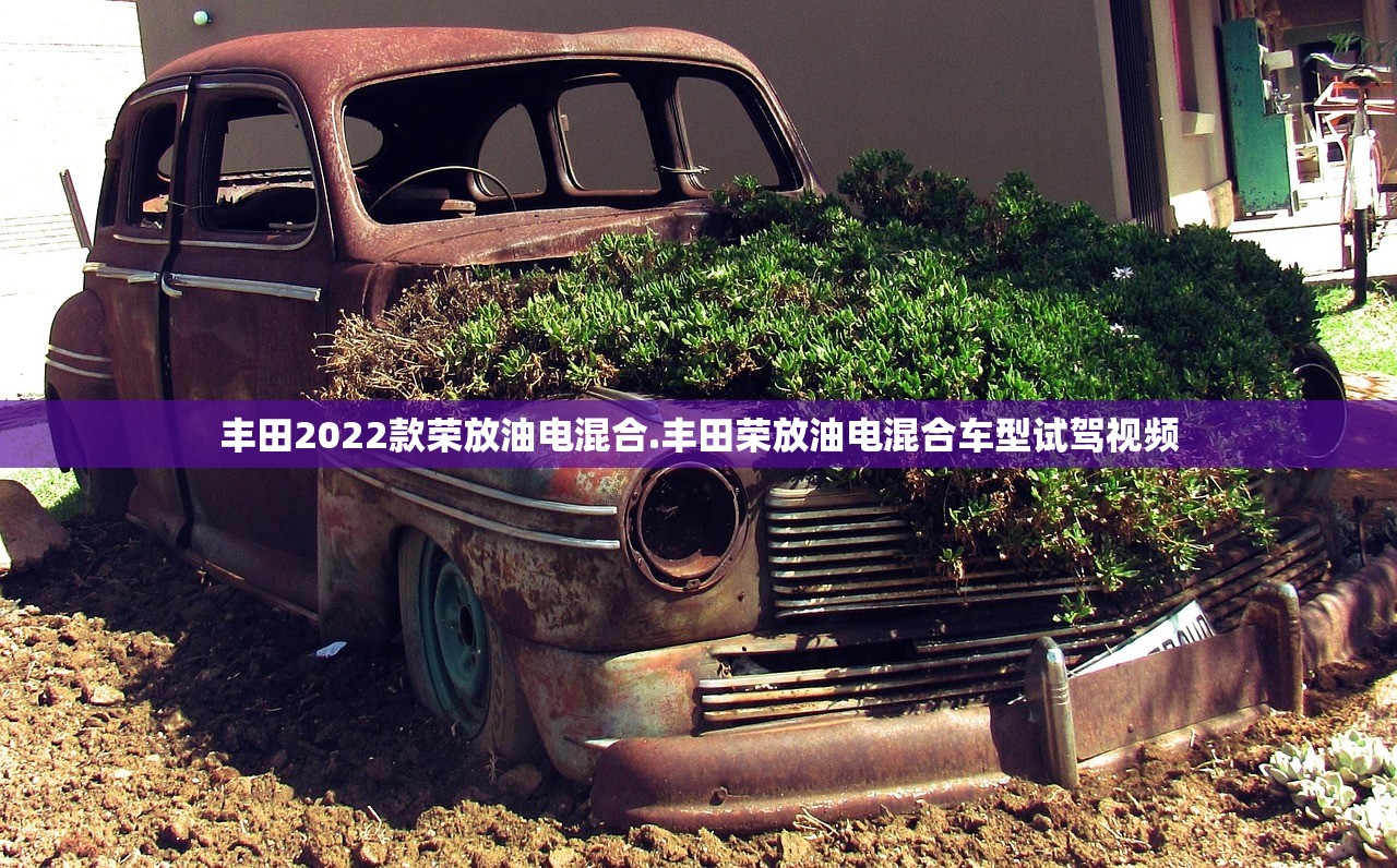 丰田2022款荣放油电混合.丰田荣放油电混合车型试驾视频