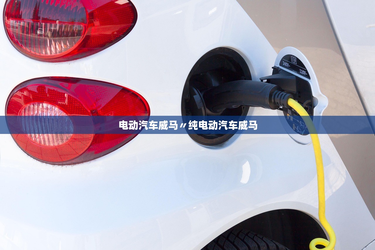 电动汽车威马〃纯电动汽车威马 电动汽车威马〃纯电动汽车威马