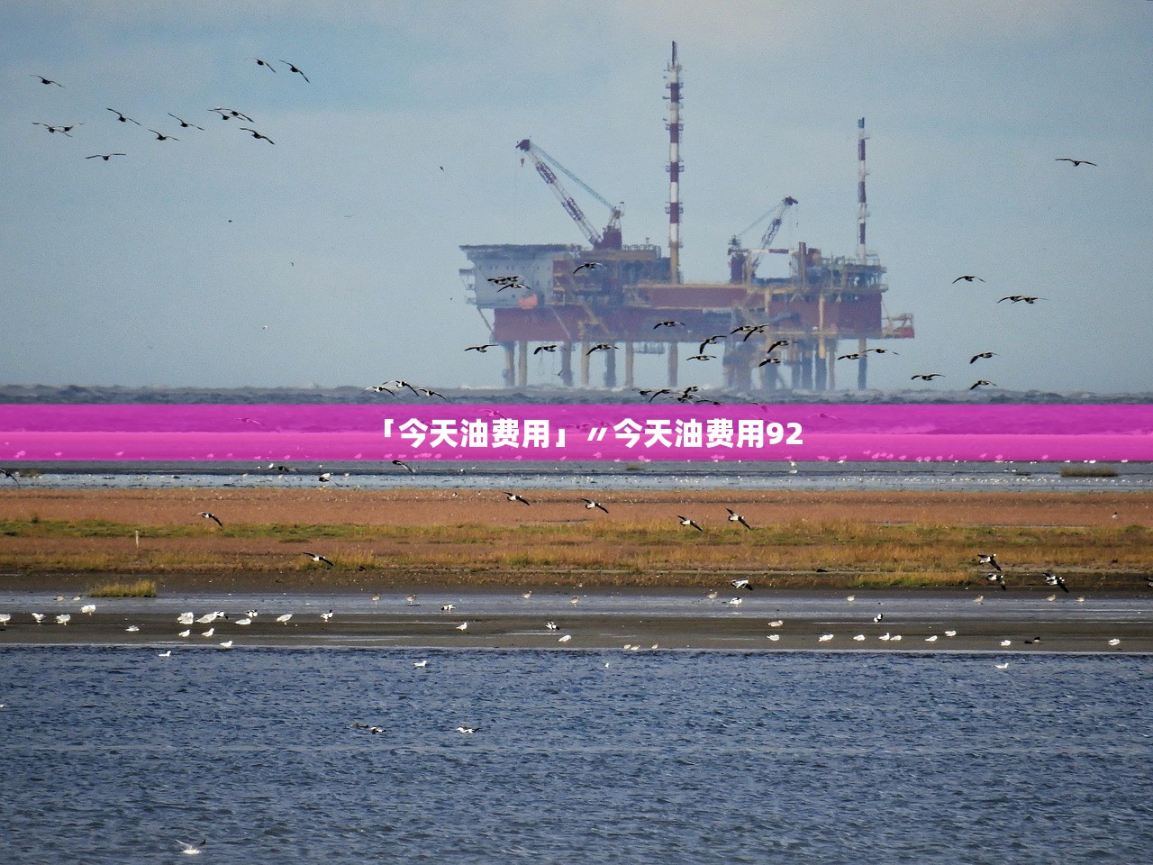 「今天油费用」〃今天油费用92
