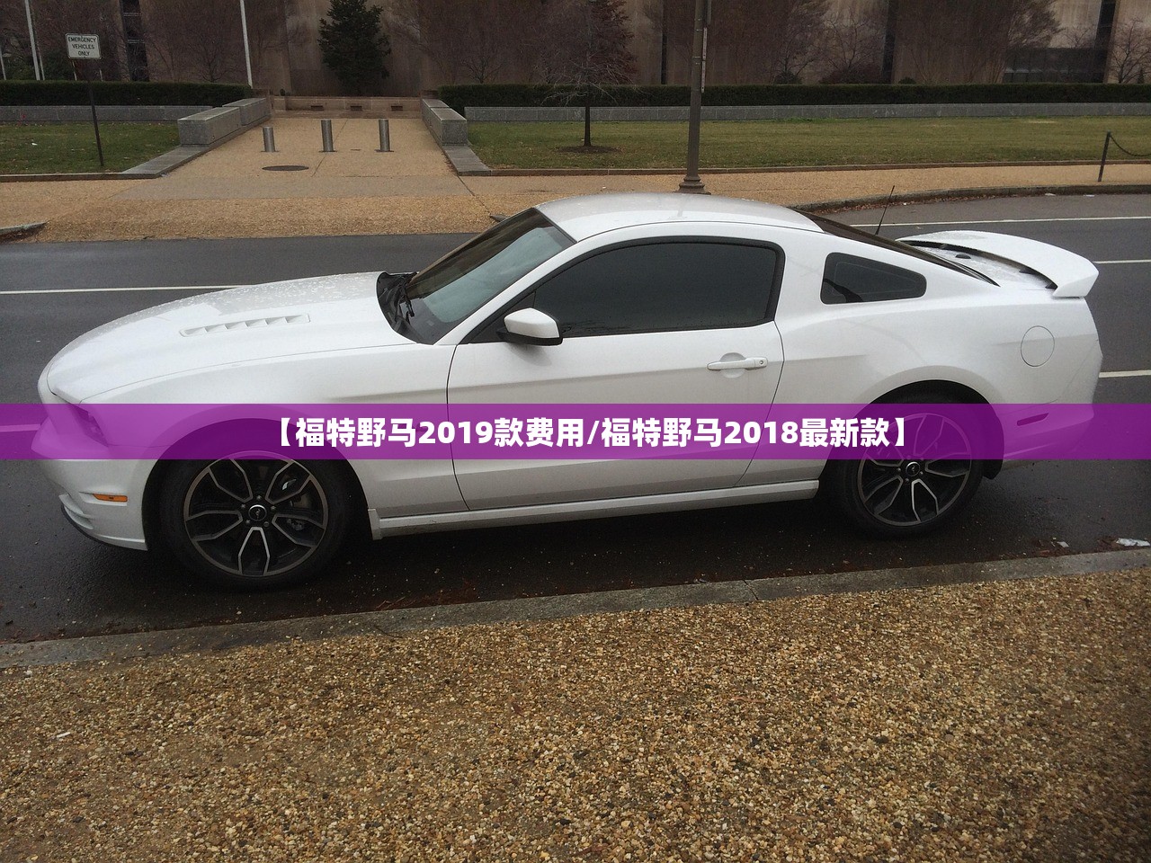 【福特野马2019款费用/福特野马2018最新款】 【福特野马2019款费用/福特野马2018最新款】