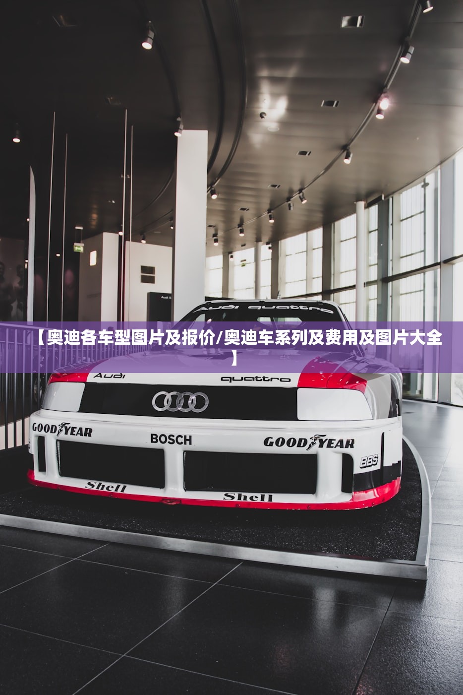 【奥迪各车型图片及报价/奥迪车系列及费用及图片大全】