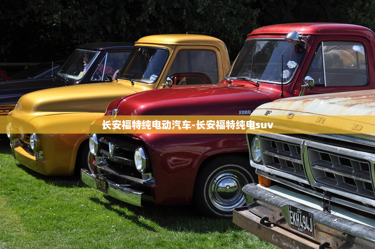 长安福特纯电动汽车-长安福特纯电suv 长安福特纯电动汽车-长安福特纯电suv