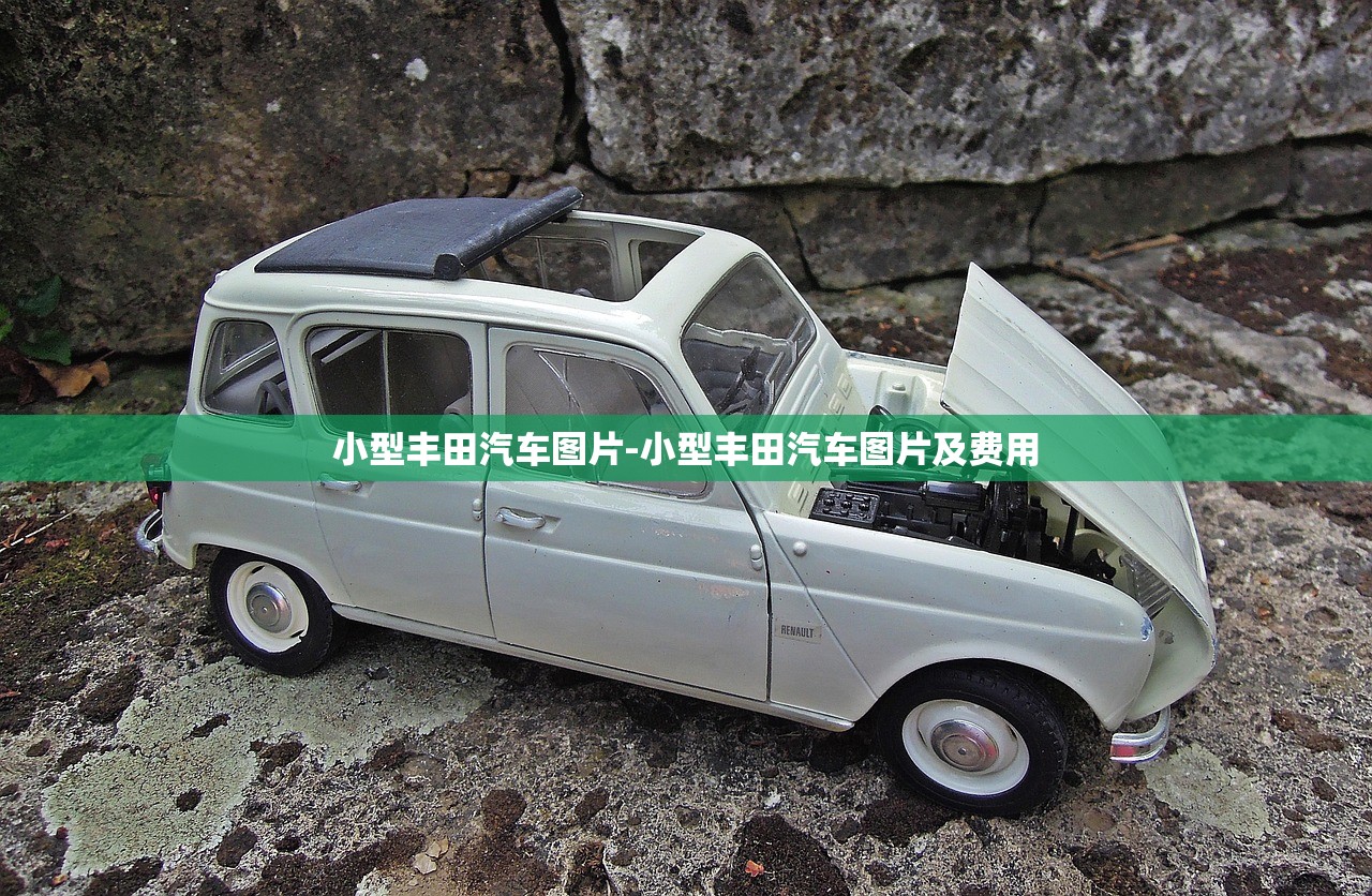 小型丰田汽车图片-小型丰田汽车图片及费用