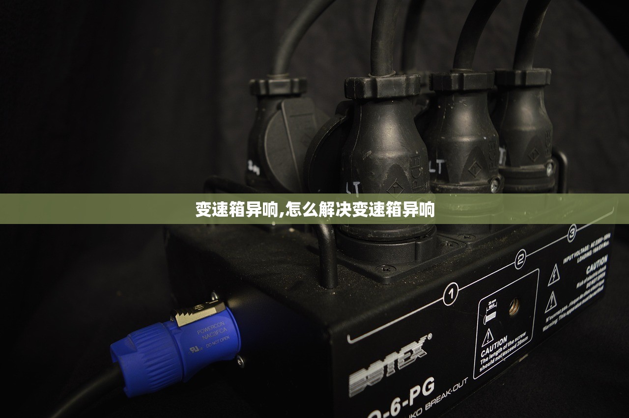 变速箱异响,怎么解决变速箱异响
